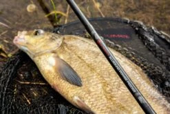 Ultimate Allround Power Feeder -Vis Tactiek Verkoop 01299b08f65e9c2a