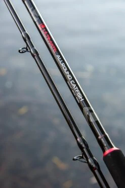 Ultimate Allround Catfish 300cm, Meervalhengel -Vis Tactiek Verkoop 118dbeada876c8d2