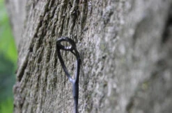 Ashima Travel FFX-S 10ft 3m 3.25Lb -Vis Tactiek Verkoop 4a7d69384d52c63c