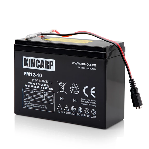 BearCreeks Scavenger Baitboat Lithium 3 BearCreeks Scavenger Baitboat Lithium - Afbeelding 3