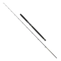 PENN Regiment III Solid Carbon Boothengel 2,40m (20-30lb) -Vis Tactiek Verkoop a163d5eae122dc82