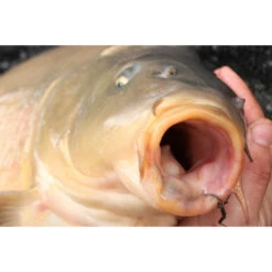 Korda Mixa Hook Size 8