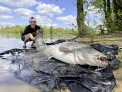 Black Cat Freestyle Spin 2,70m